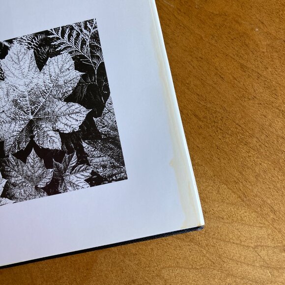 American Wilderness book Ansel Adam’s John Muir - Picture 3 of 6